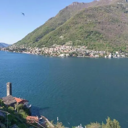 Love At First Sight! * Nesso
